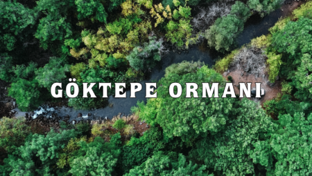 Göktepe Ormanı: İzmir’in İçinde Saklı Orman #13