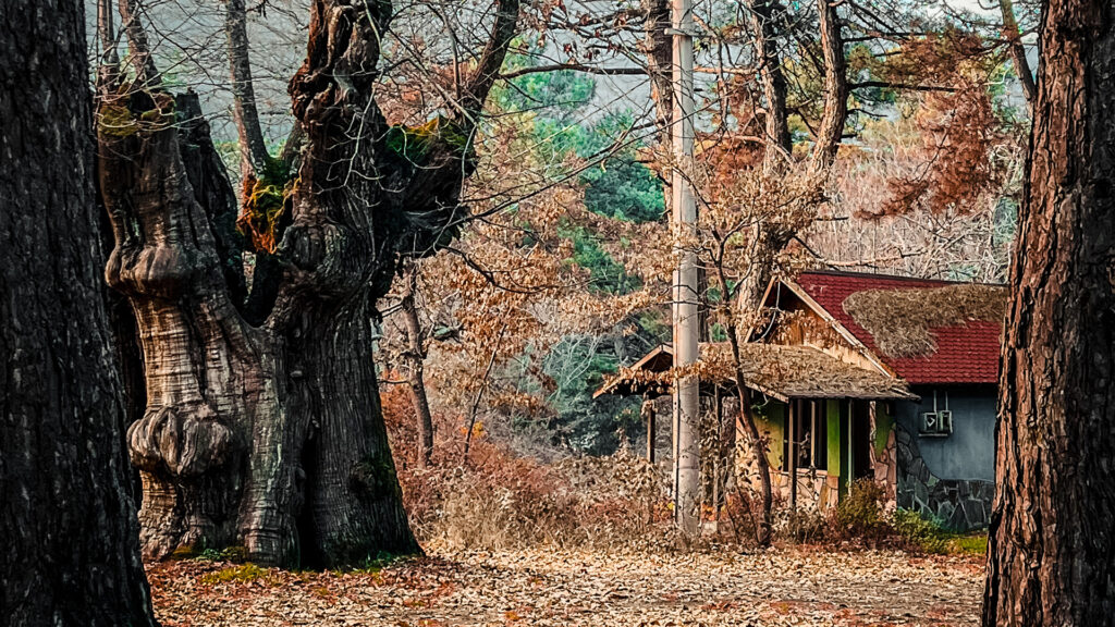 Ovacık Tabiat Parkı