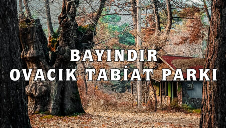 Bayındır Ovacık Tabiat Parkı – Huzur Dolu #8