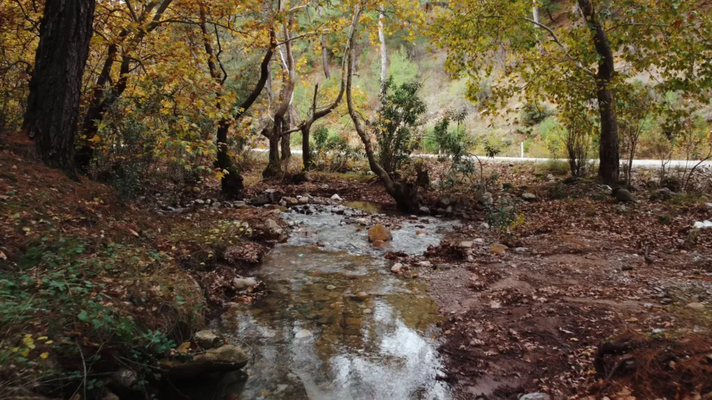 Dereköy Kamp Alanı