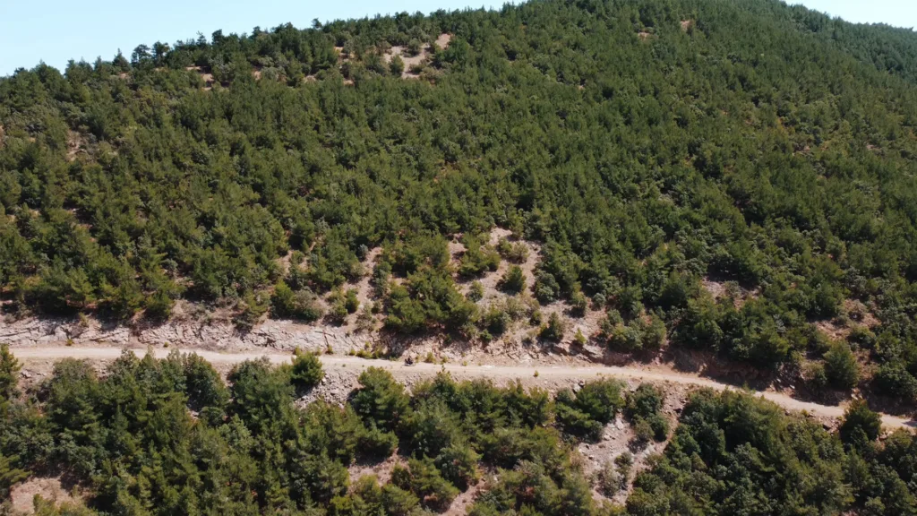 Mahmut Dağı Zirvesi Yol Tarifi